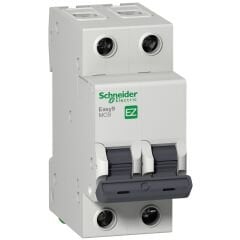 Schneider Electric EZ9F43232 2X32A C 3kA Otomatik Sigorta